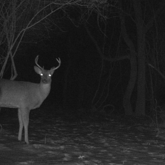 Meet your Posher, Tiffani - Picture 1 of 1